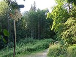 Aggenstein (1986 m) und Breitenberg (1838 m) - Image 4