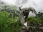 Allgäuer Königsalpenroute - Etappe 8: Kenzenhütte-Tegelberghaus Schwangau - Image 4