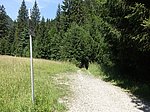 Aggenstein (1986 m) und Breitenberg (1838 m) - Image 32