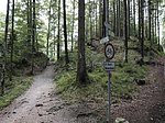 Alpsee-Rundweg - Image 3