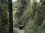 Alpsee-Rundweg - Image 7
