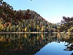 Alatsee-Runde - Image 10