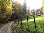 Alatsee-Runde - Image 3