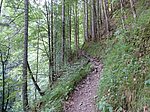 Aggenstein (1986 m) und Breitenberg (1838 m) - Image 5