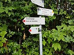 Alpenrosenweg-Rundwanderung - Image 17