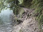 Alpsee-Rundweg - Image 12