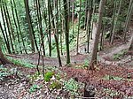 Alpenrosenweg-Rundwanderung - Image 10