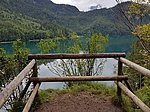 Alpenrosenweg-Rundwanderung - Image 9
