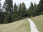 Alpsee-Rundweg - Image 15