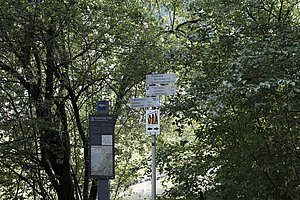 Alpsee-Rundweg