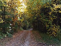 Alatsee-Runde