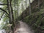 Alpsee-Rundweg - Image 10
