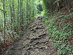 Alpenrosenweg-Rundwanderung - Image 16
