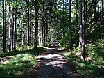 "Tal der Sinne" bei Bad Faulenbach - Image 4