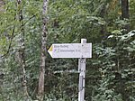 Alpsee-Rundweg - Image 18
