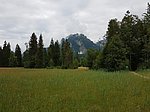 Alpenrosenweg-Rundwanderung - Image 13