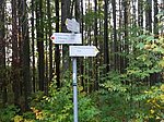 Alatsee-Runde - Image 14