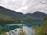 Alpenrosenweg-Rundwanderung - Image 8