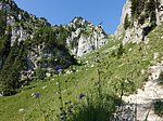 Aggenstein (1986 m) und Breitenberg (1838 m) - Image 12