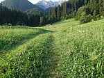 Aggenstein (1986 m) und Breitenberg (1838 m) - Image 3
