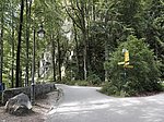 Alpsee-Rundweg - Image 2
