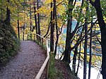 Alatsee-Runde - Image 9
