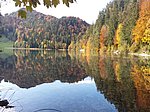 Alatsee-Runde - Image 8