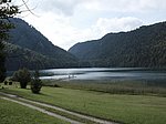 Alpsee-Rundweg - Image 16