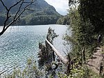 Alpsee-Rundweg - Image 8