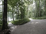 Alpsee-Rundweg - Image 17