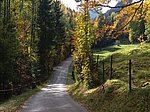 Alatsee-Runde - Image 6