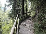 Alpsee-Rundweg - Image 6
